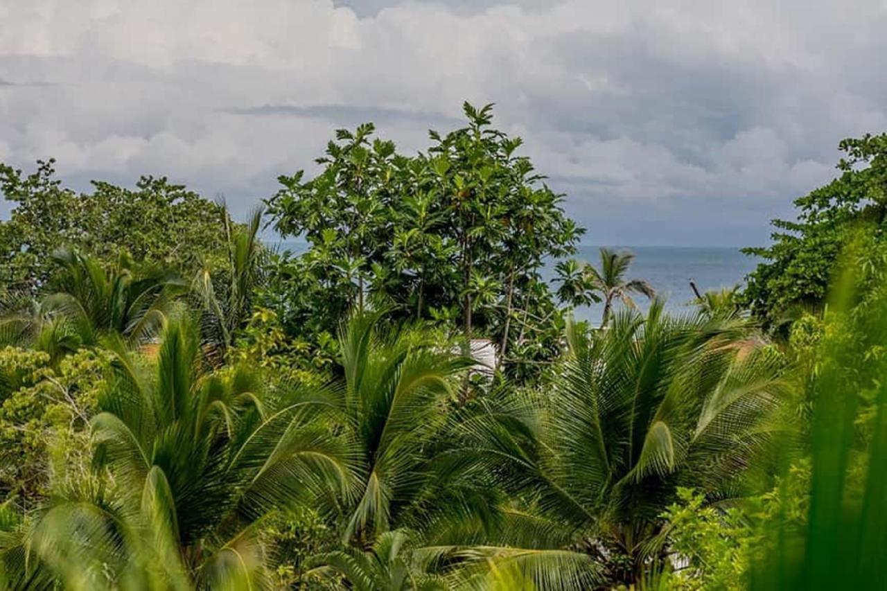 Hotel Torres Del Mar Puerto Viejo de Talamanca 外观 照片