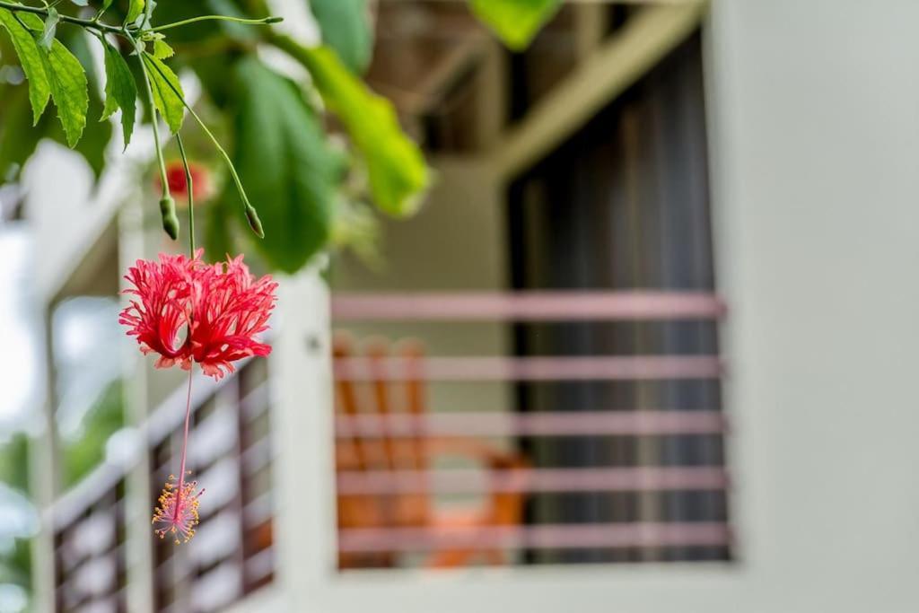 Hotel Torres Del Mar Puerto Viejo de Talamanca 外观 照片